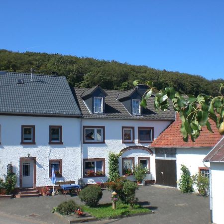 Ferienhof An Der Lay Kerpen  외부 사진