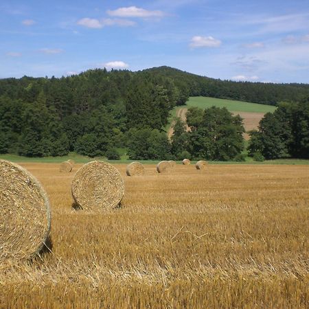 Ferienhof An Der Lay Kerpen  외부 사진