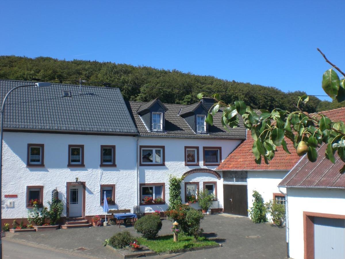 Ferienhof An Der Lay Kerpen  외부 사진