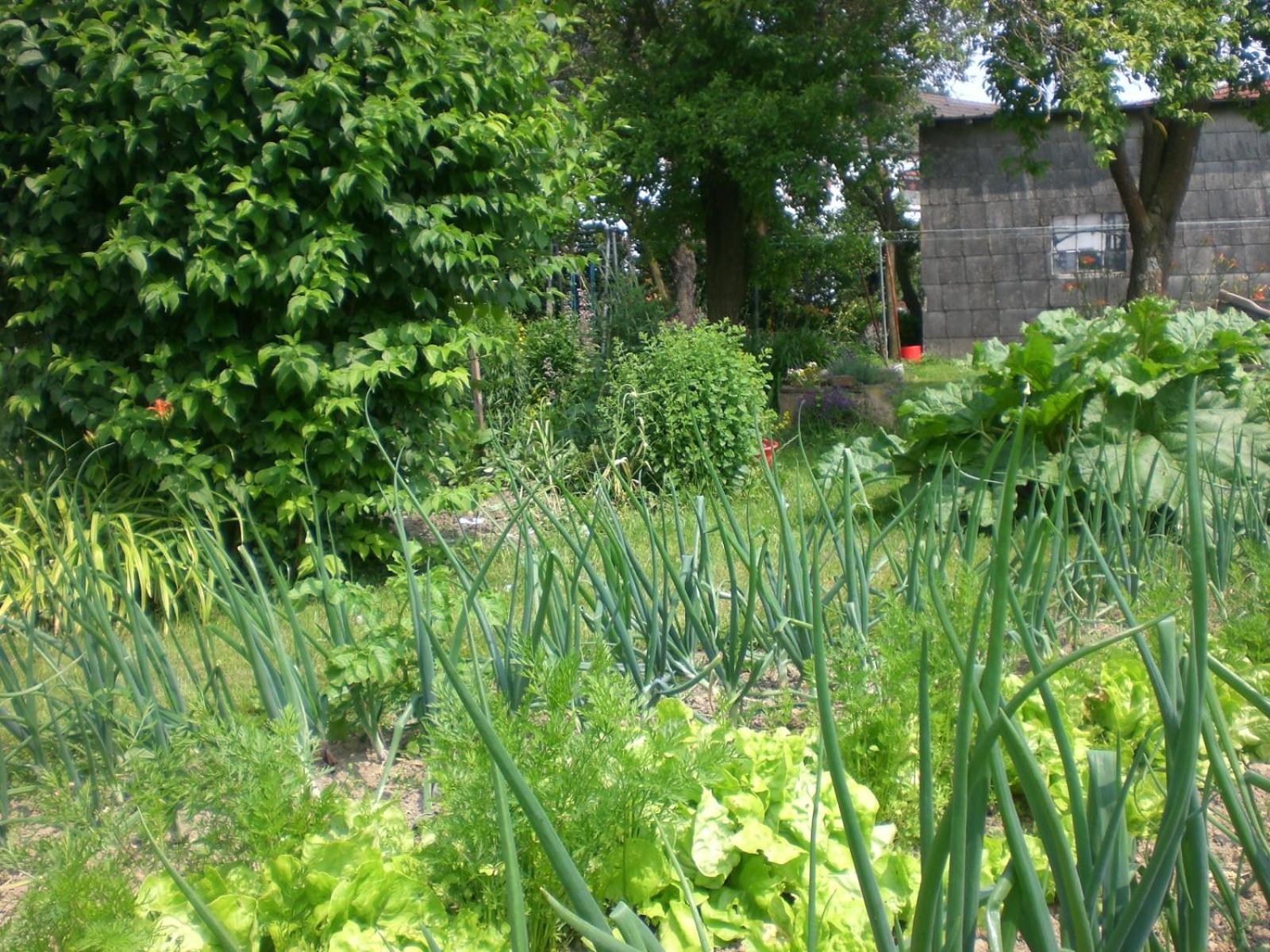 Ferienhof An Der Lay Kerpen  외부 사진