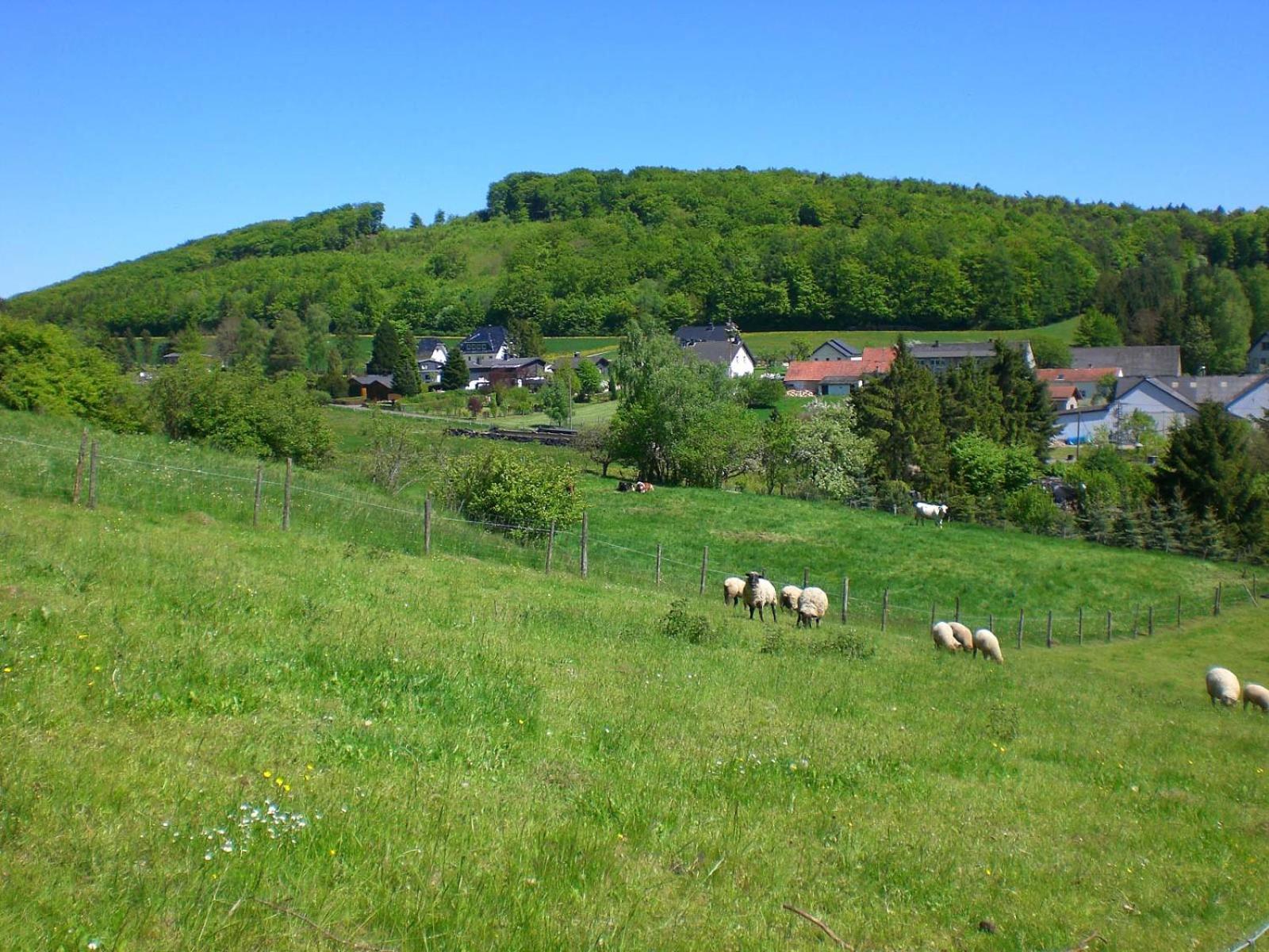 Ferienhof An Der Lay Kerpen  외부 사진