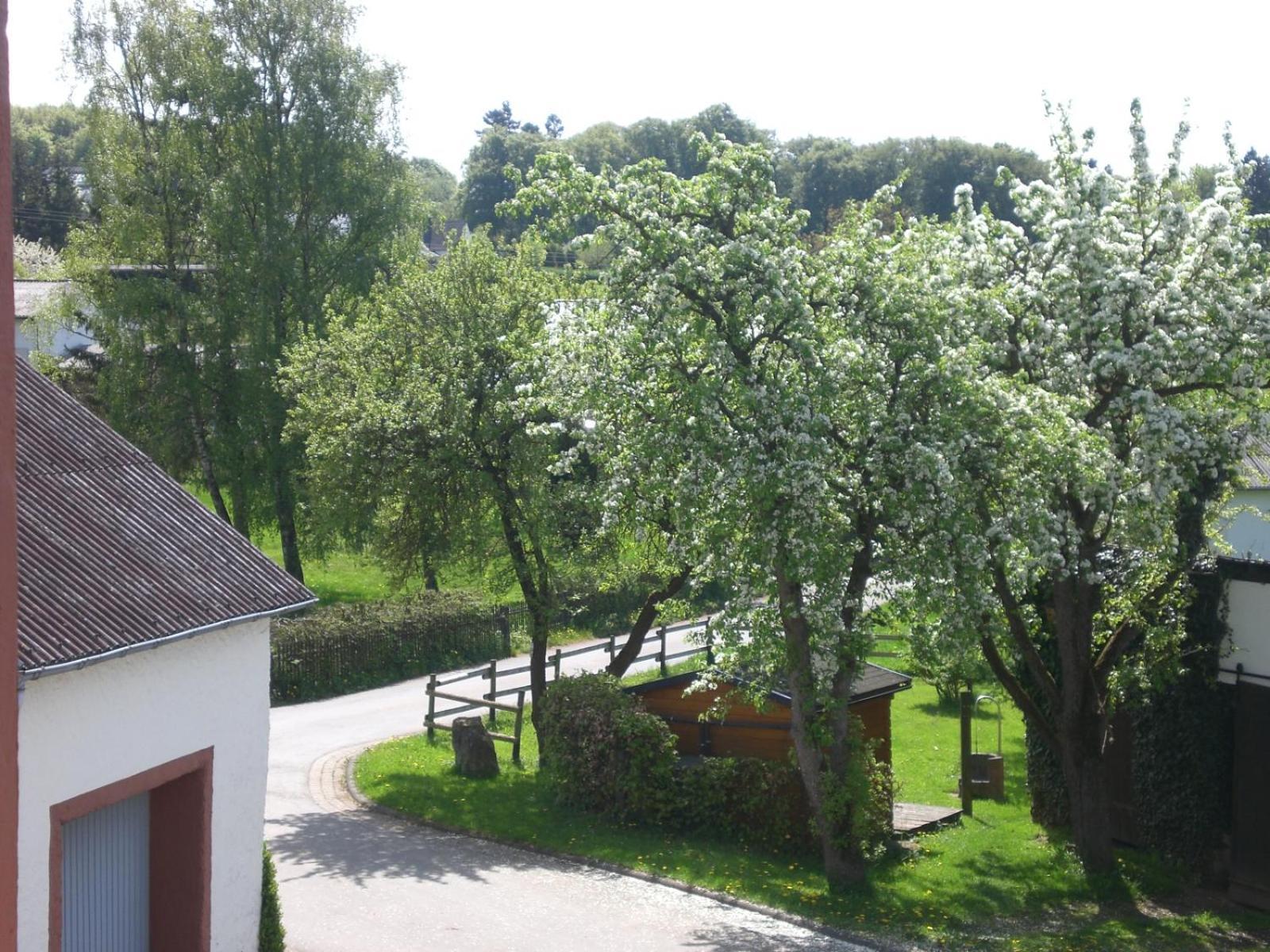 Ferienhof An Der Lay Kerpen  외부 사진