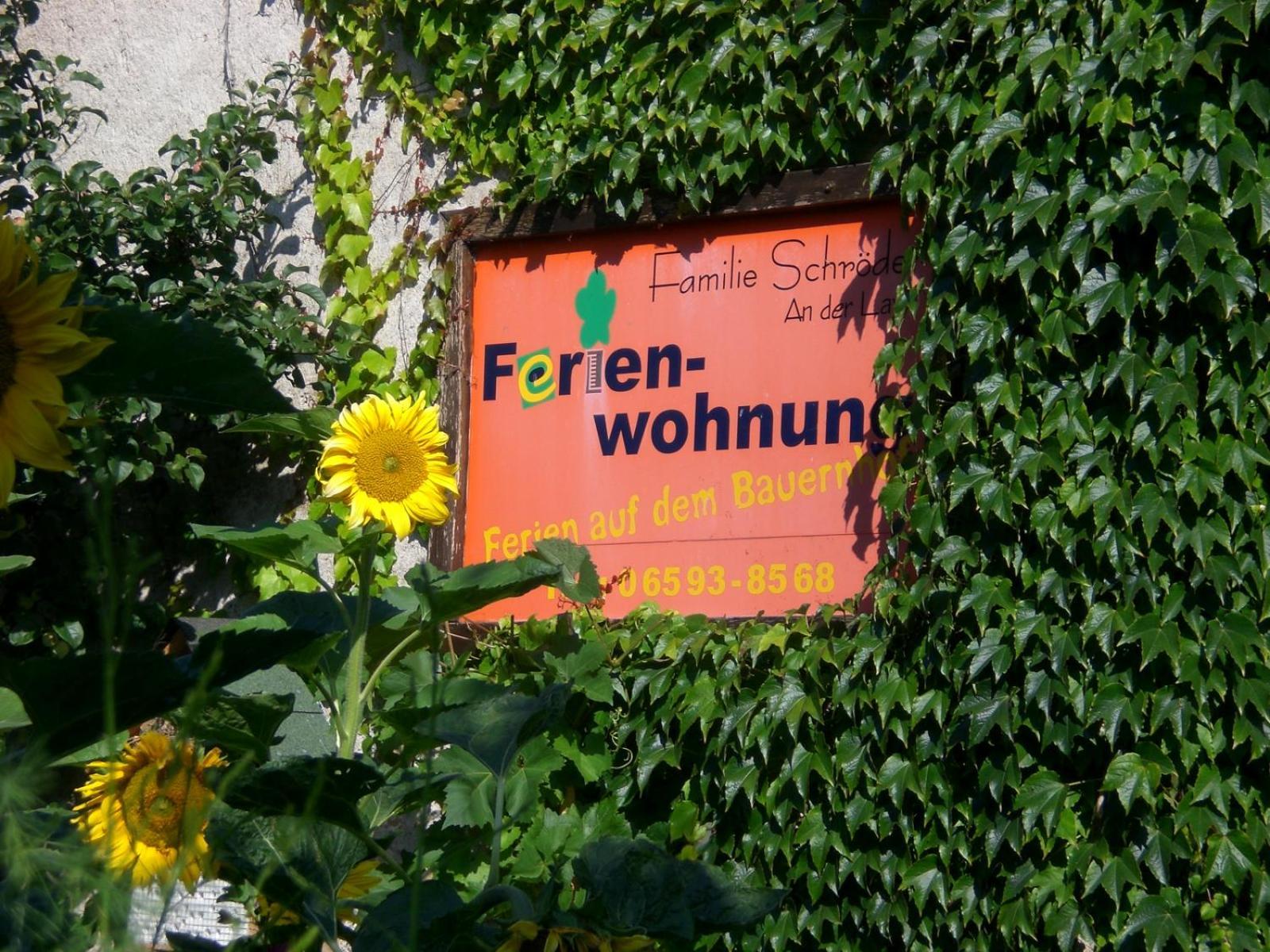 Ferienhof An Der Lay Kerpen  외부 사진