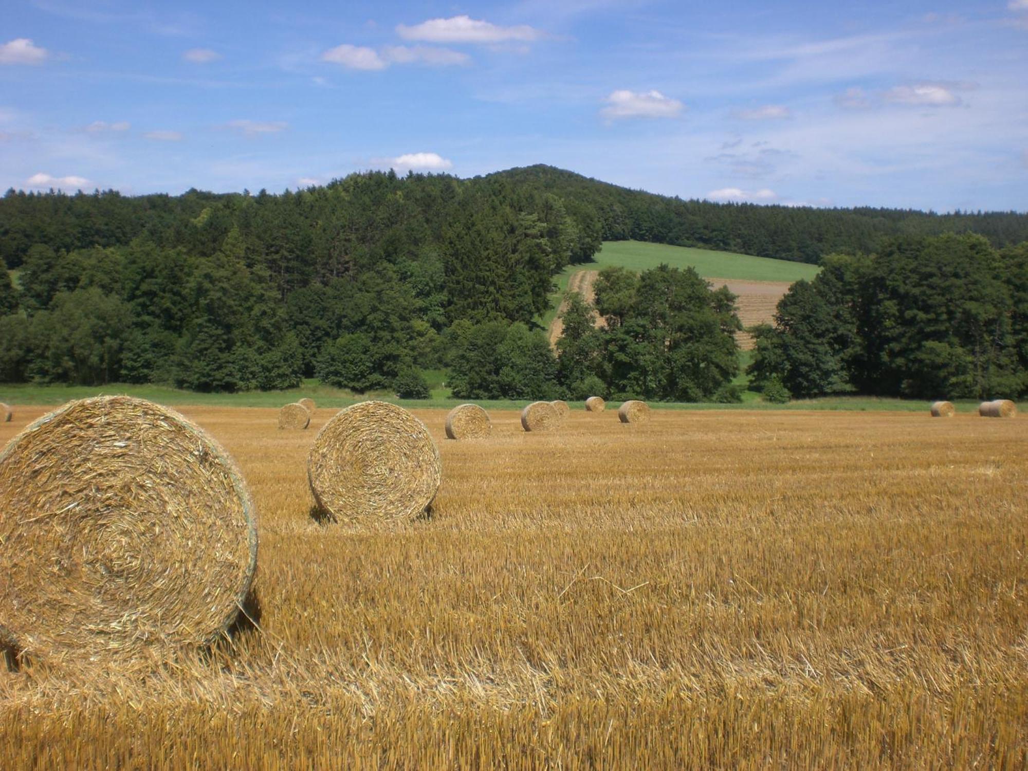Ferienhof An Der Lay Kerpen  외부 사진