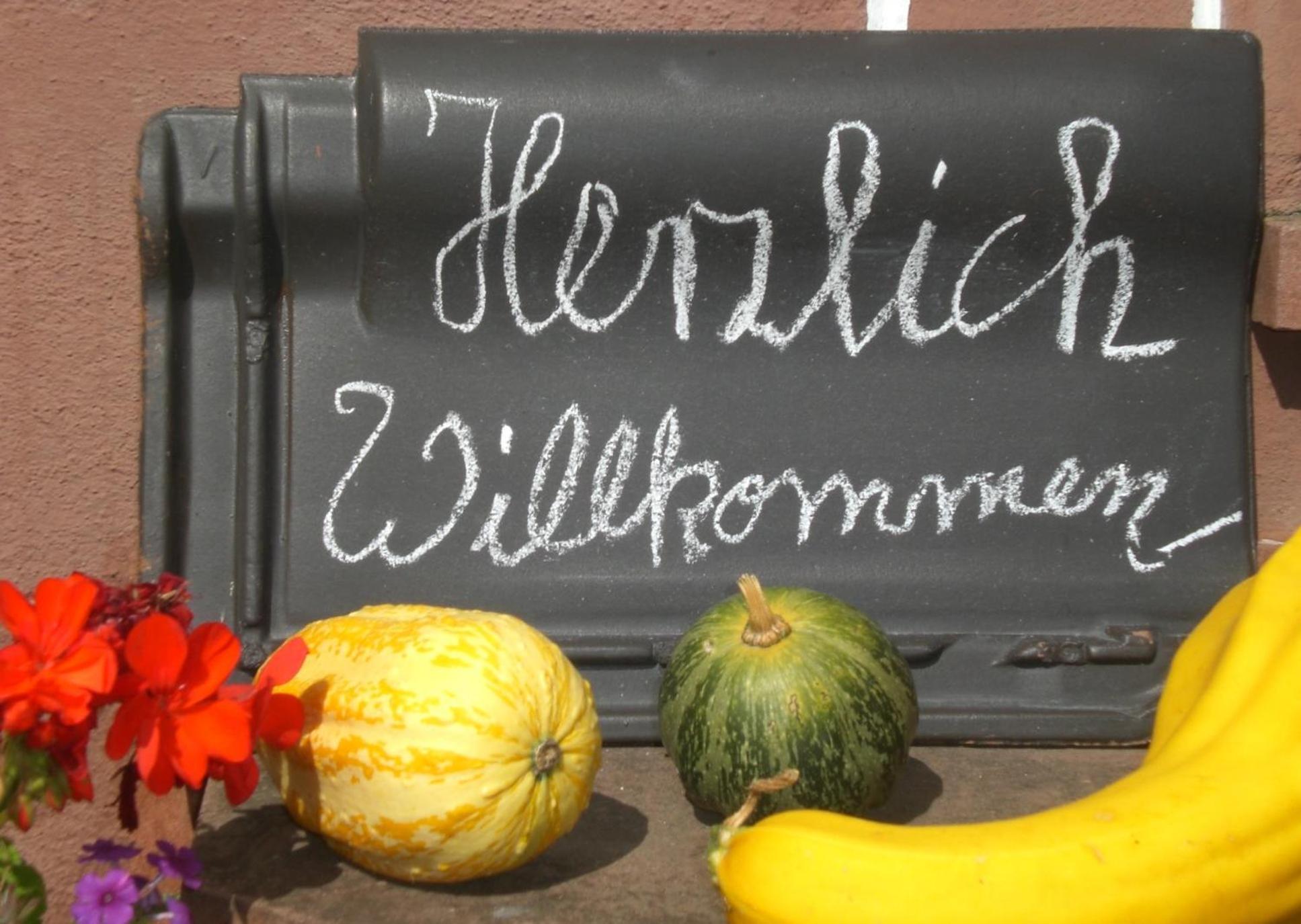 Ferienhof An Der Lay Kerpen  외부 사진