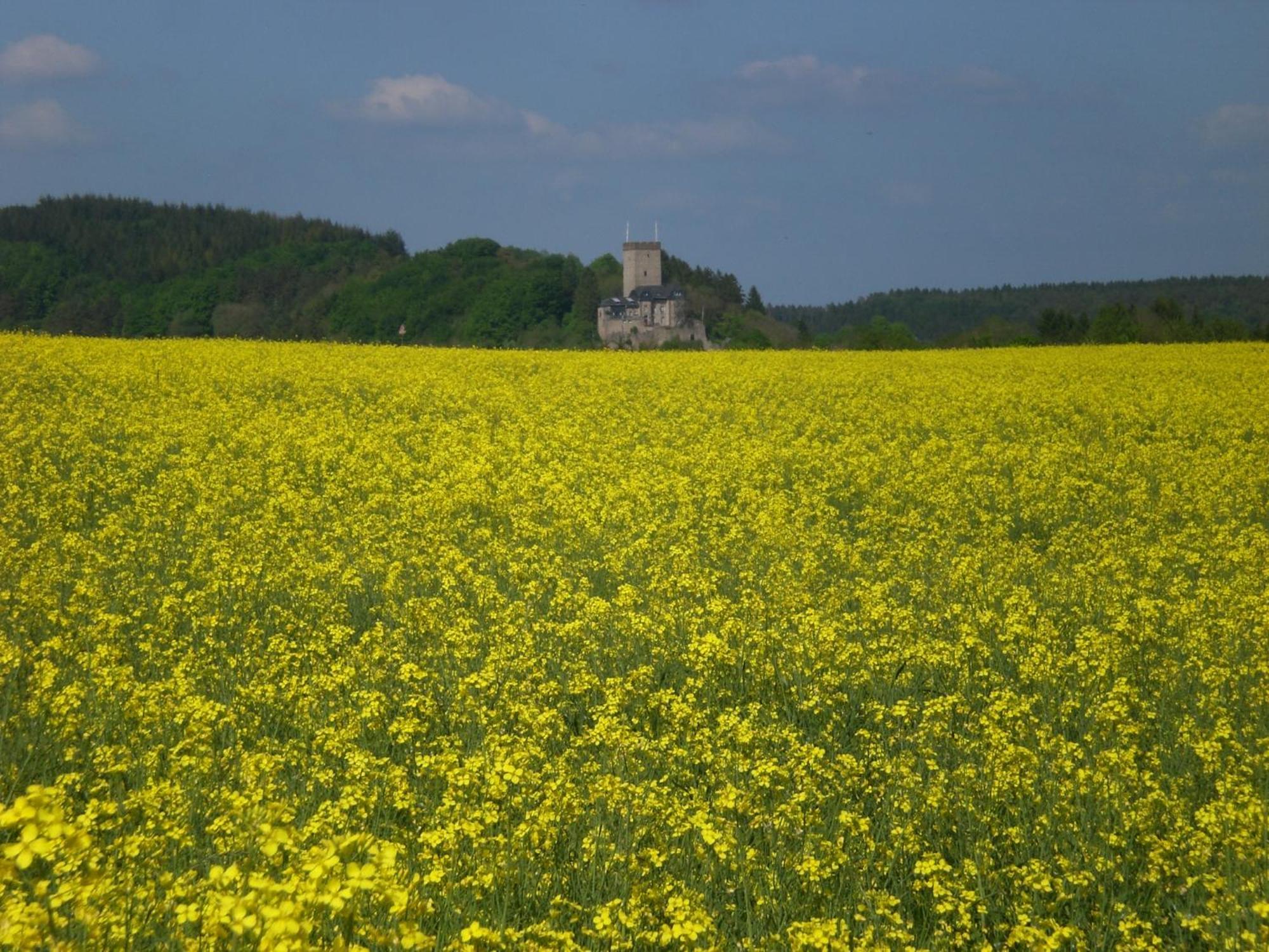 Ferienhof An Der Lay Kerpen  외부 사진
